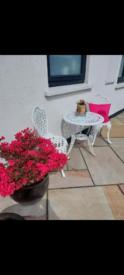 Knockrobin Cottage Wicklow Buitenkant foto